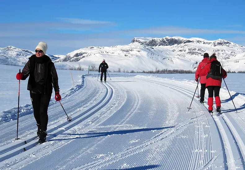 Langlaufen in Beitostolen nabij het Jotunheimen Nationaal Park © Nico van Dijk / Skigebiedengids.nl